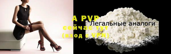крисы Гусев