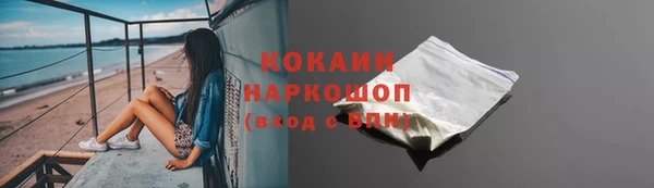 крисы Гусев