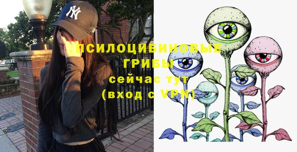 крисы Гусев