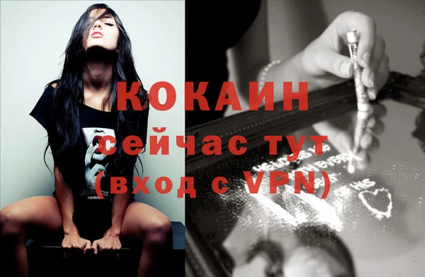 крисы Гусев
