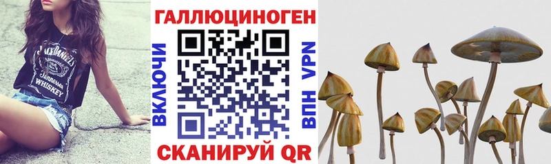 Галлюциногенные грибы ЛСД  Купить закладки  Выкса 